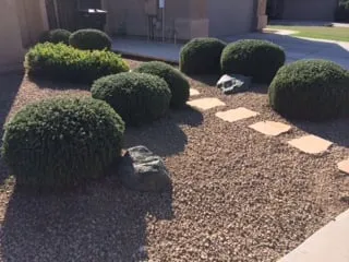 Trusted landscape installation for beautiful yards in Casa Grande, AZ by Vivid Landscaping