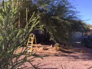 Top-rated lawn mowing service in Casa Grande, AZ - Vivid Landscaping