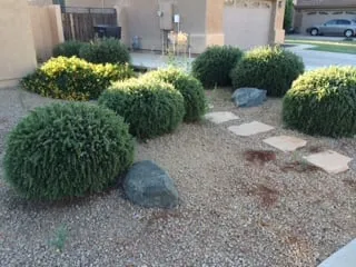 Custom residential landscaping for outdoor upgrades in Casa Grande, AZ by Vivid Landscaping