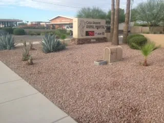 Professional landscape design near you in Casa Grande, AZ by Vivid Landscaping