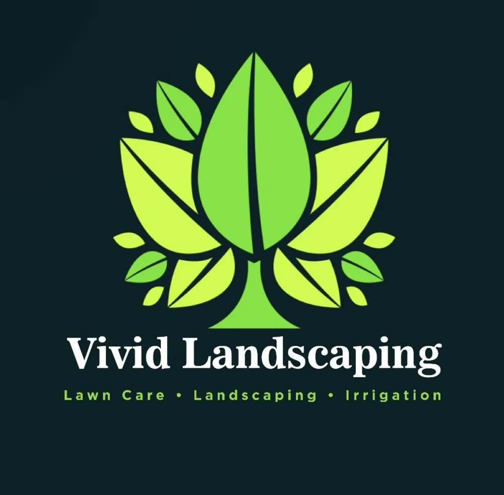 Local landscape design in Farmers Branch, TX by Vivid Landscaping