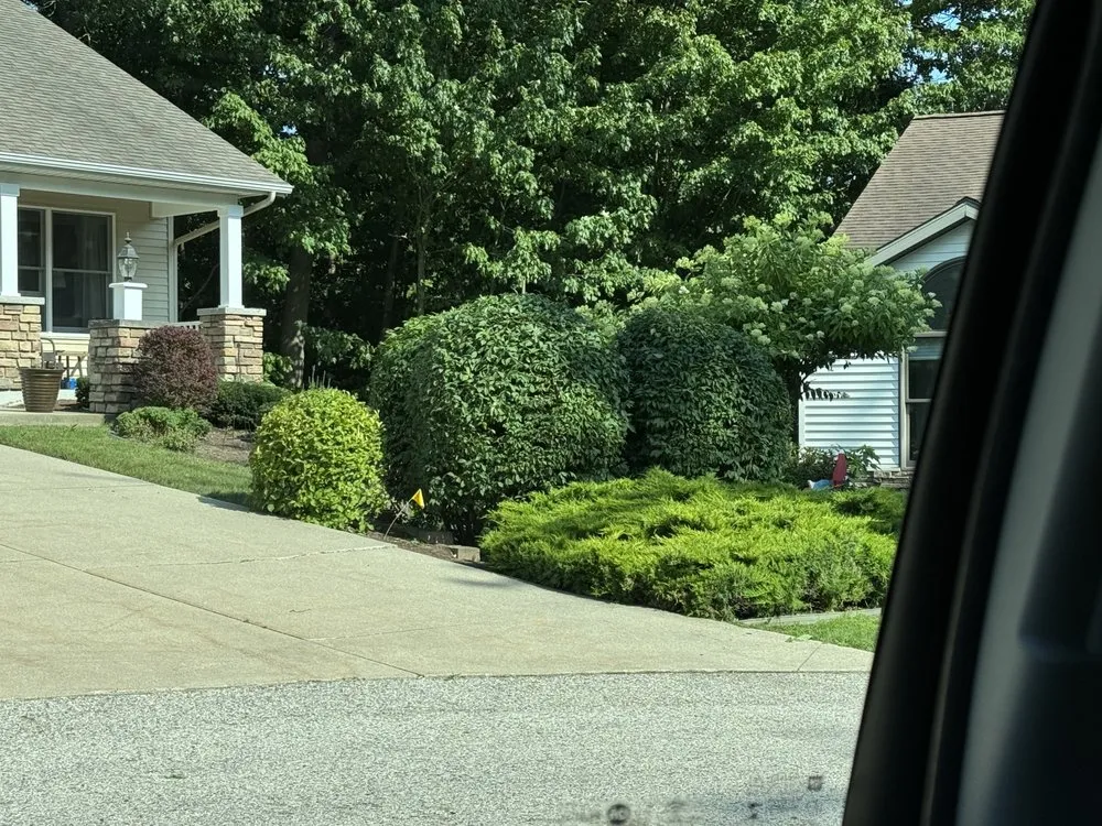 Professional yard maintenance in Muskegon, MI - Vivid Lawn & Property