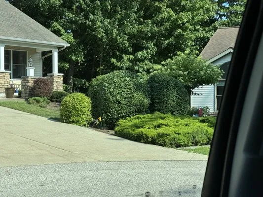 Vivid Lawn & Property Logo