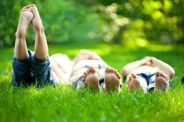 Vivid Lawn Logo
