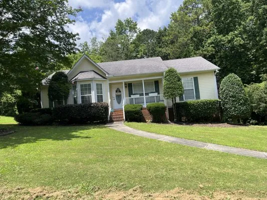 Vivid Lawn Service Logo