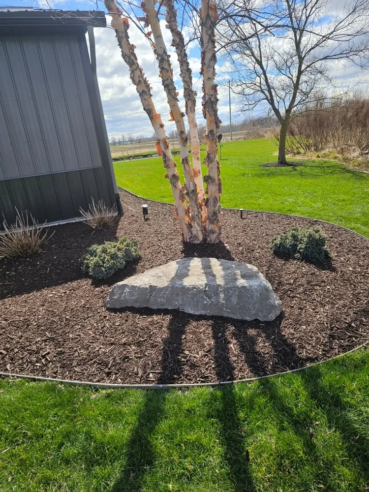 Expert lawn mowing service in Wayland, MI by Vivid Lawn Services