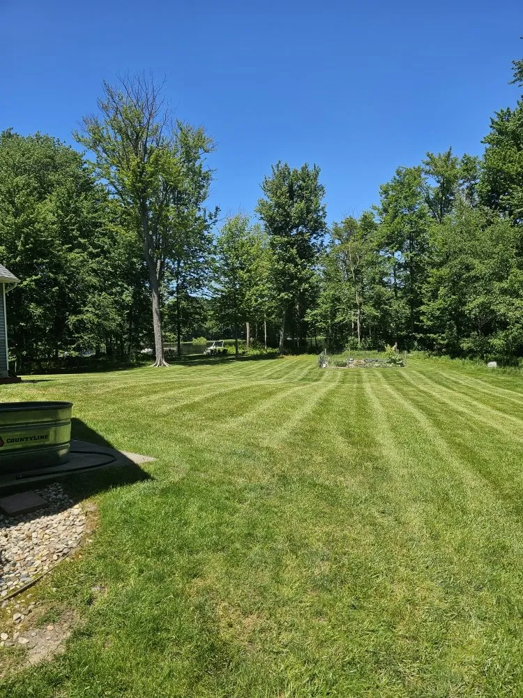 Local landscape installation for outdoor upgrades across Wayland, MI - Vivid Lawn Services