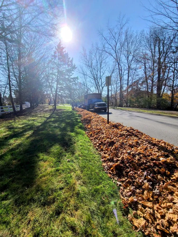 Affordable residential landscaping in Wayland, MI - Vivid Lawn Services