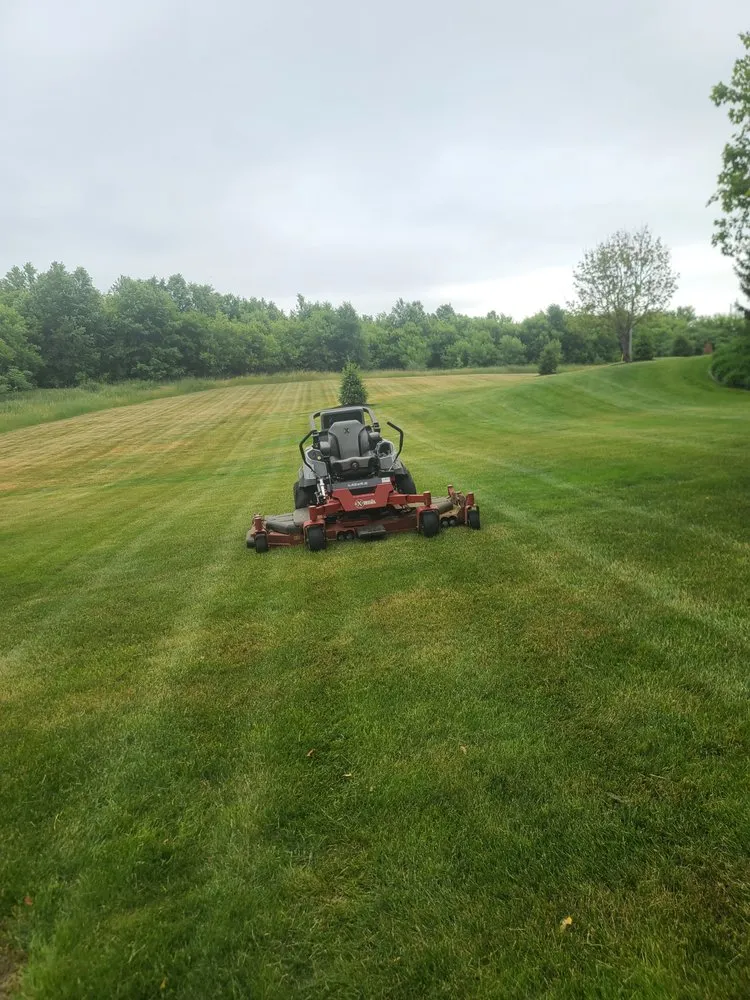 Expert landscaping services experts serving Wayland, MI - Vivid Lawn Services