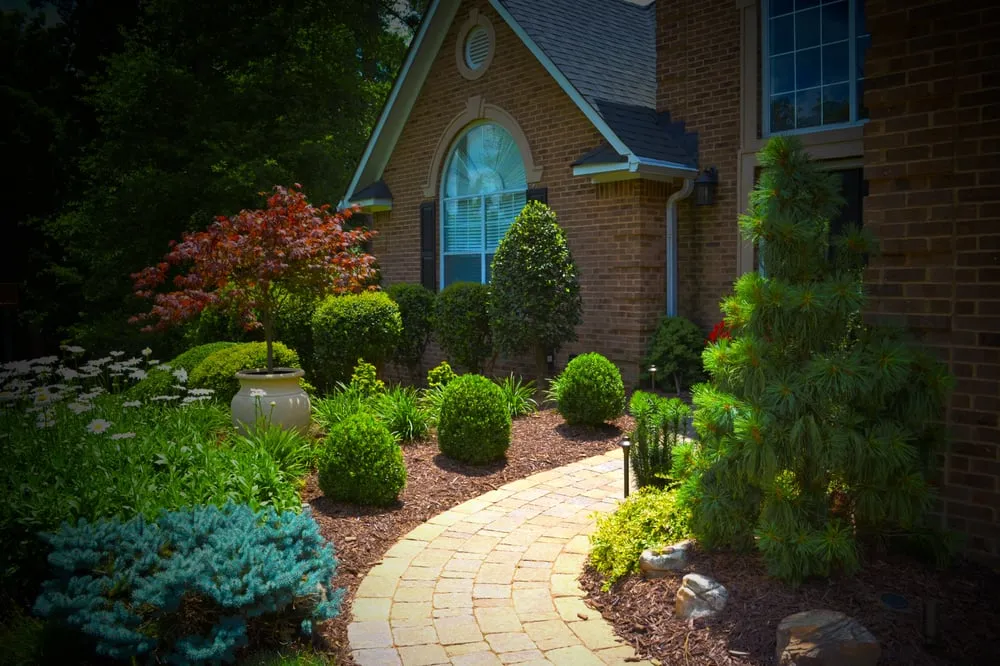 Trusted lawn care service experts serving McDonough, GA - Vivid Lawns