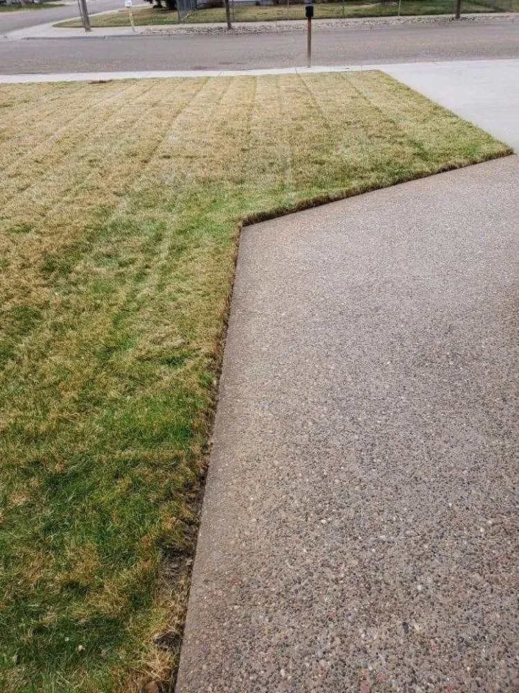 Custom landscape installation in Miles City, MT by Vivid Lawns