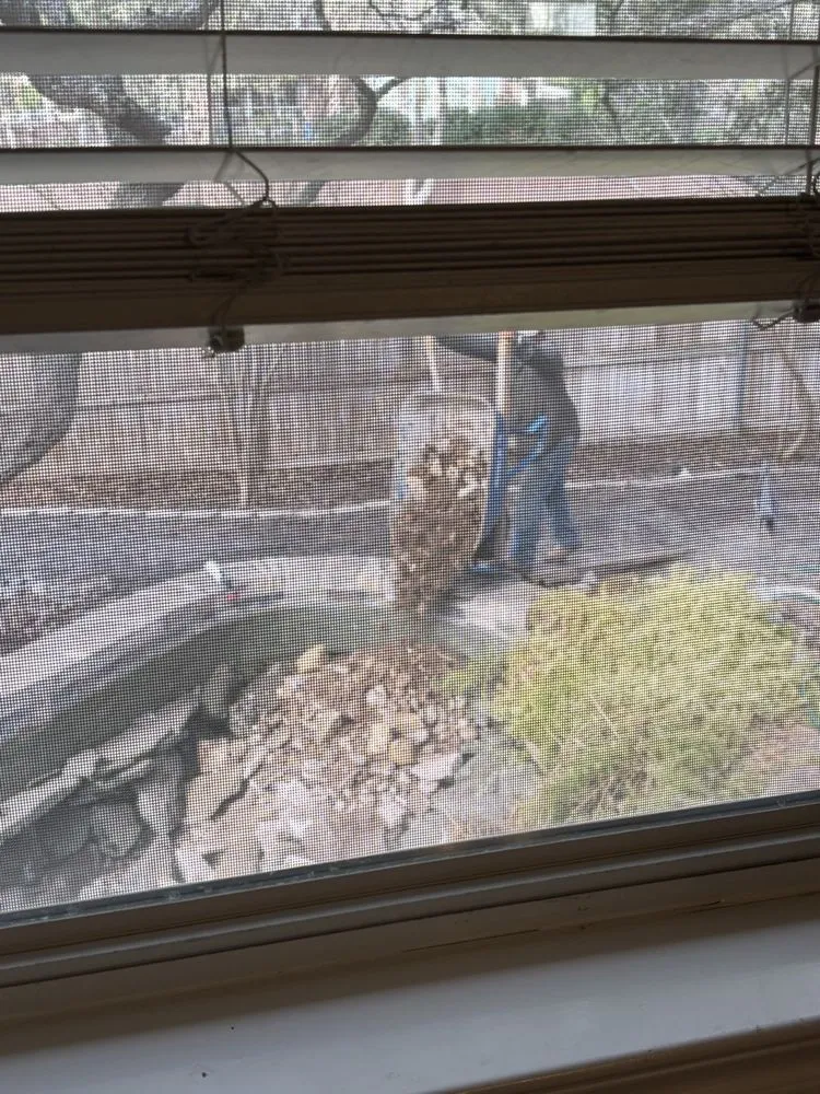 Affordable residential landscaping experts serving San Antonio, TX - Vivid Outdoor Solutions