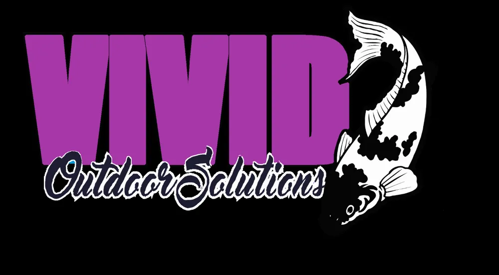 Trusted yard cleanup service experts serving San Antonio, TX - Vivid Outdoor Solutions