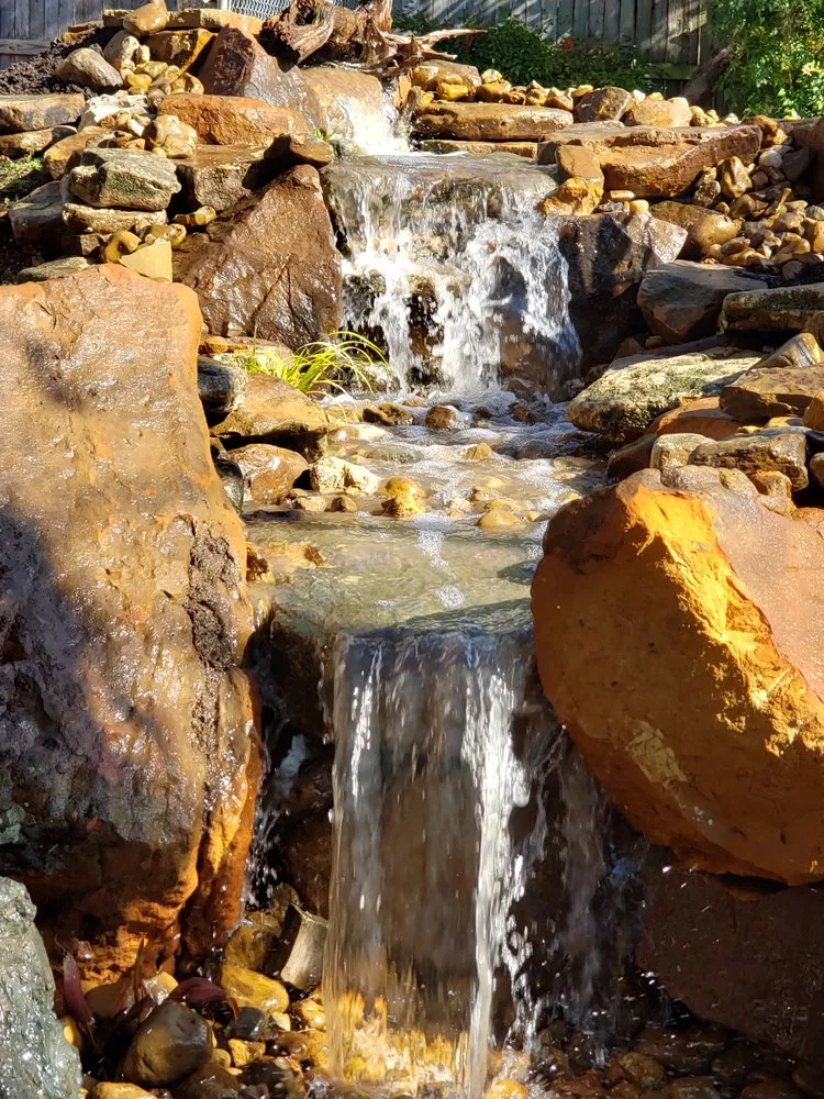 Affordable yard cleanup service experts serving San Antonio, TX - Vivid Outdoor Solutions