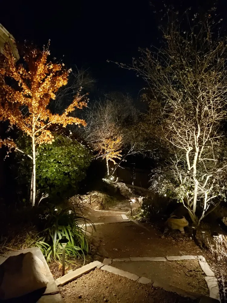 Top-rated yard cleanup service for outdoor upgrades in San Antonio, TX by Vivid Outdoor Solutions