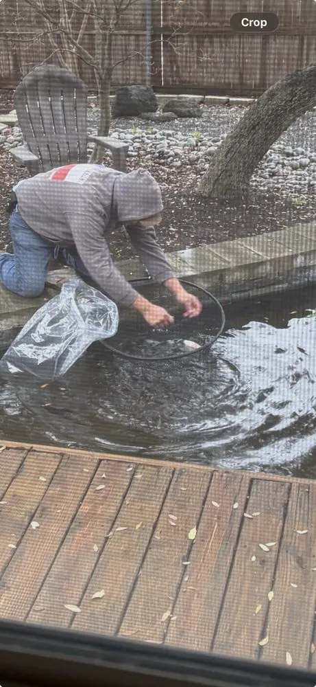 Top-rated landscape installation in San Antonio, TX - Vivid Outdoor Solutions