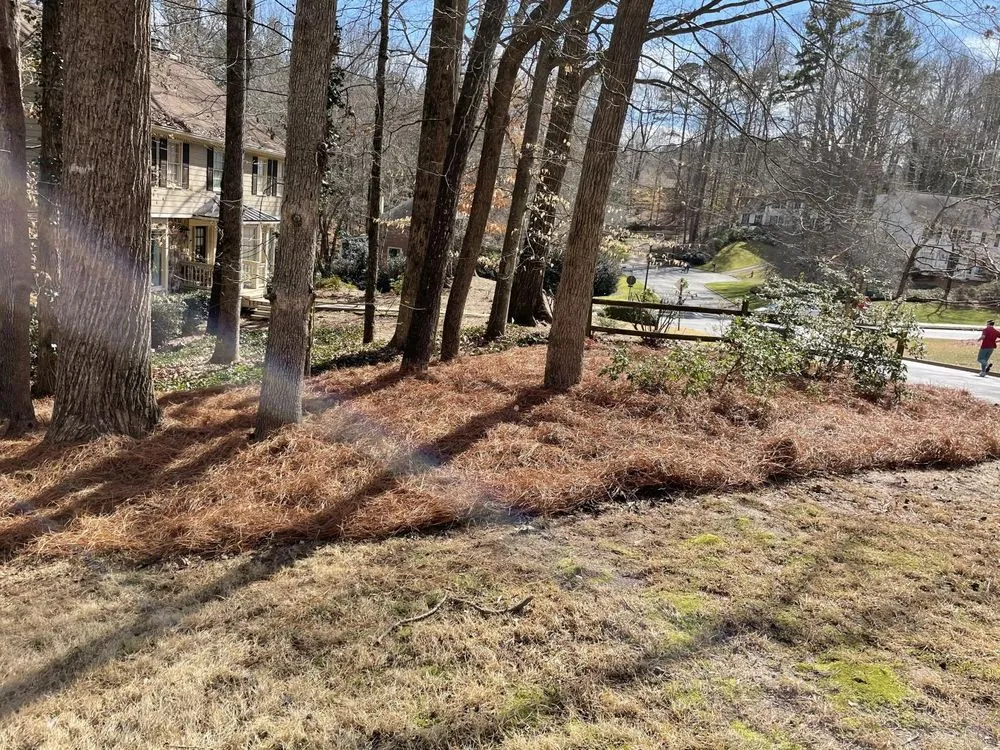 Affordable yard cleanup service experts serving Woodstock, GA - Vivid Renovations