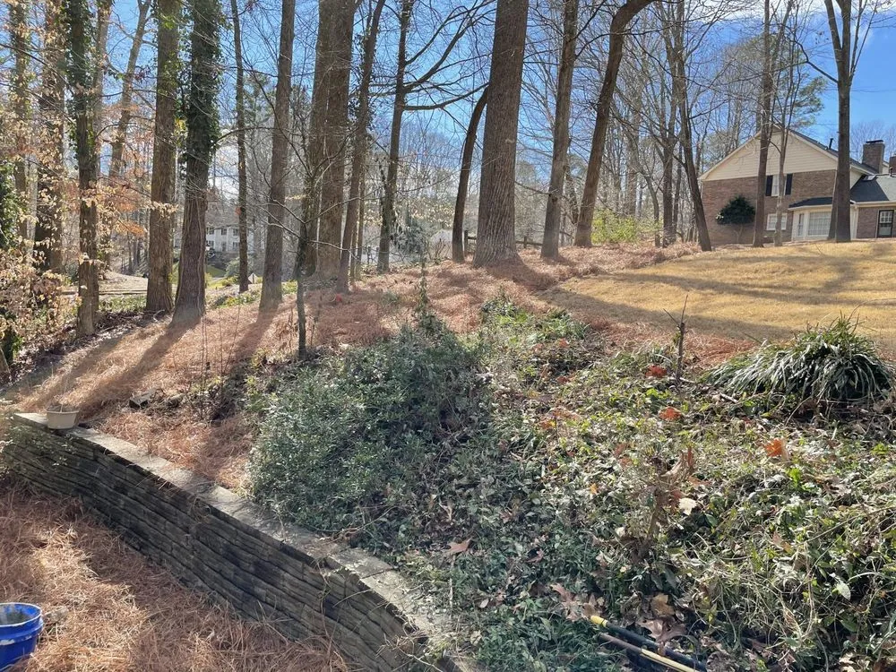 Top-rated lawn mowing service for year-round maintenance in Woodstock, GA by Vivid Renovations