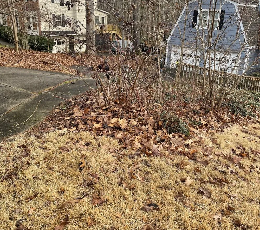 Reliable residential landscaping for year-round maintenance in Woodstock, GA by Vivid Renovations