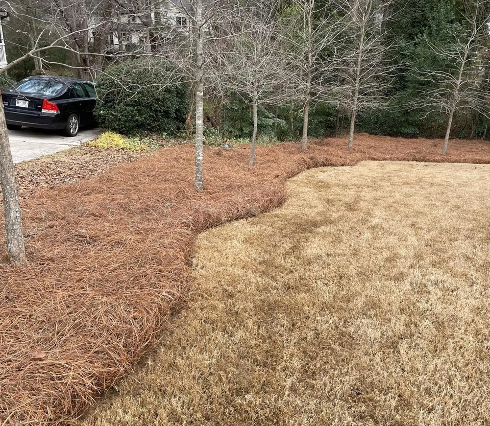 Trusted lawn mowing service for residential properties across Woodstock, GA - Vivid Renovations