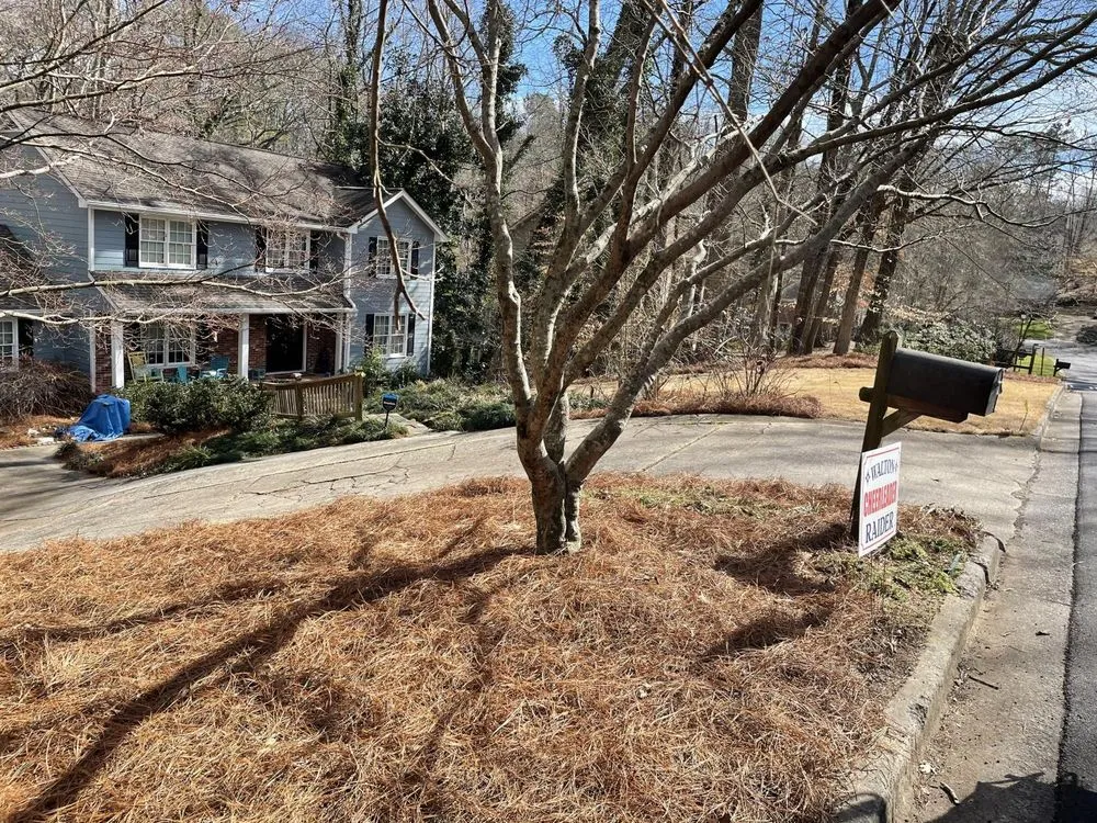 Affordable outdoor landscaping in Woodstock, GA - Vivid Renovations