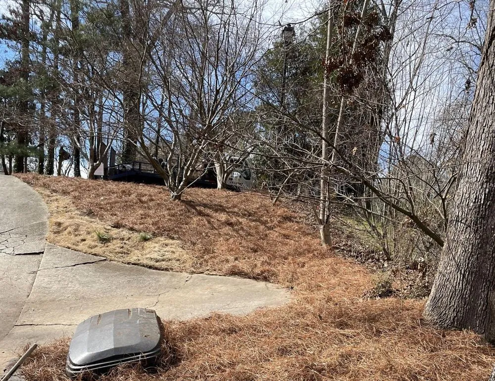 Trusted yard maintenance for year-round maintenance across Woodstock, GA - Vivid Renovations