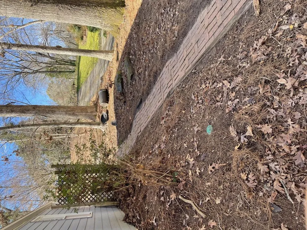 Top-rated landscape design for year-round maintenance across Woodstock, GA - Vivid Renovations