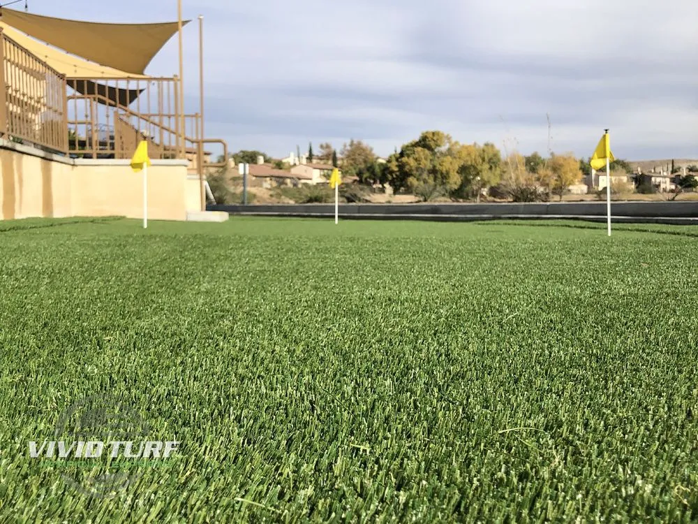 Top-rated yard maintenance in Huntington Beach, CA by Vivid Turf