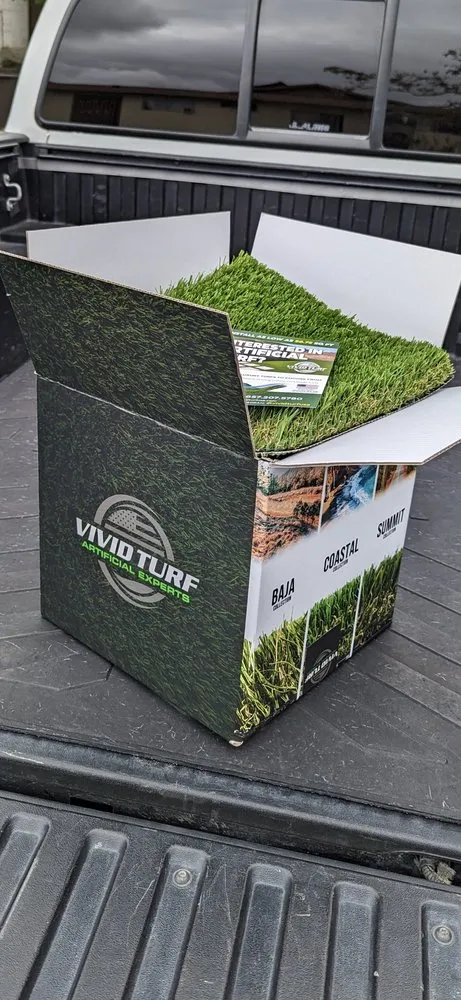 Reliable yard cleanup service in Huntington Beach, CA - Vivid Turf