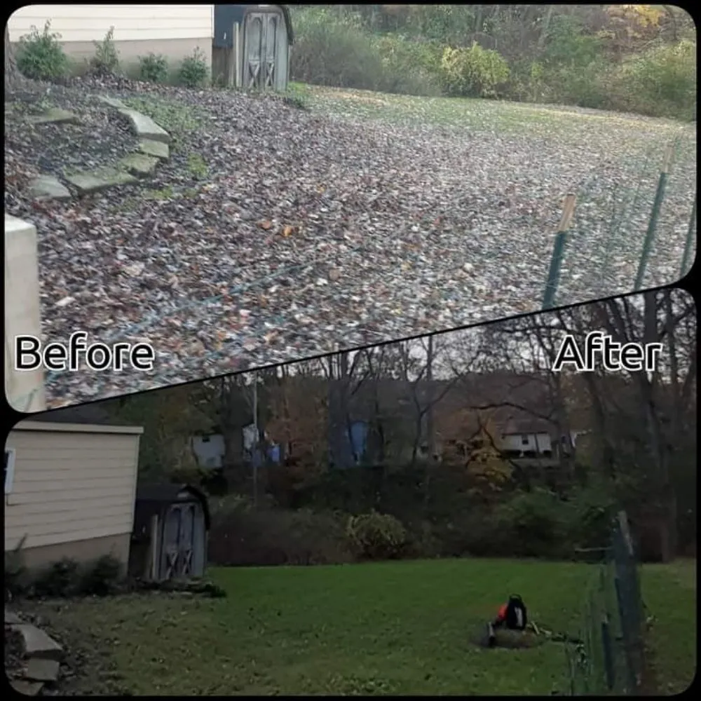 Affordable lawn care service experts serving Kent, OH - Vivid Views Lawncare and Landscaping