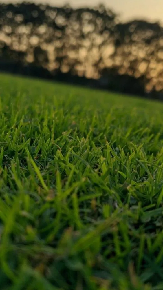 Top-rated landscape installation with custom design in Kent, OH by Vivid Views Lawncare and Landscaping