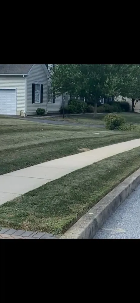 Top-rated yard cleanup service in Chester, PA by Vivid Yard Solution