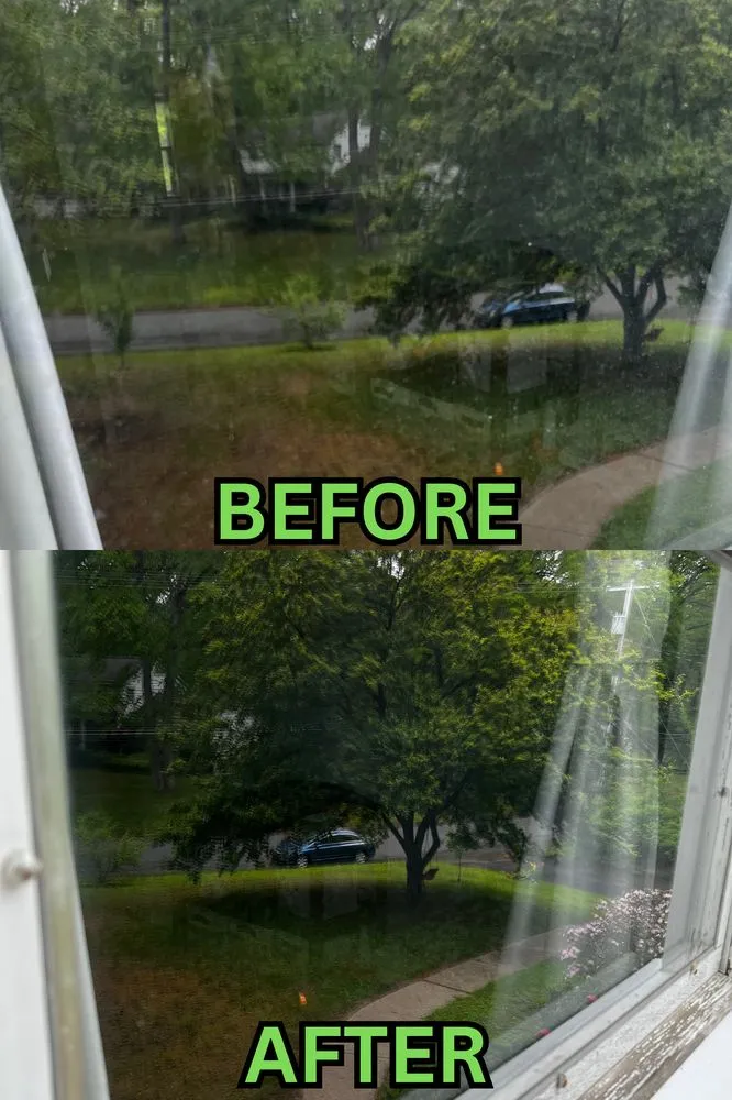 Professional yard cleanup service in Clifton Park, NY - Vivo Outdoor Services