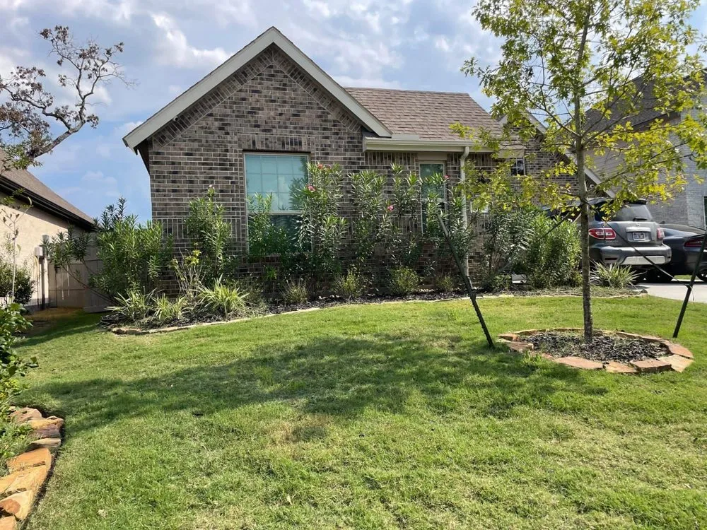 Top-rated lawn mowing service experts serving San Marcos, CA - VIX Landscaping