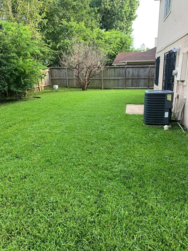 Reliable lawn care service experts serving San Marcos, CA - VIX Landscaping