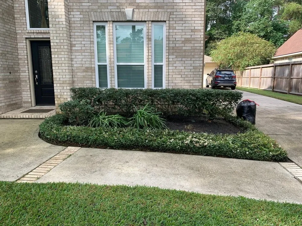 Trusted garden landscaping for beautiful yards across San Marcos, CA - VIX Landscaping