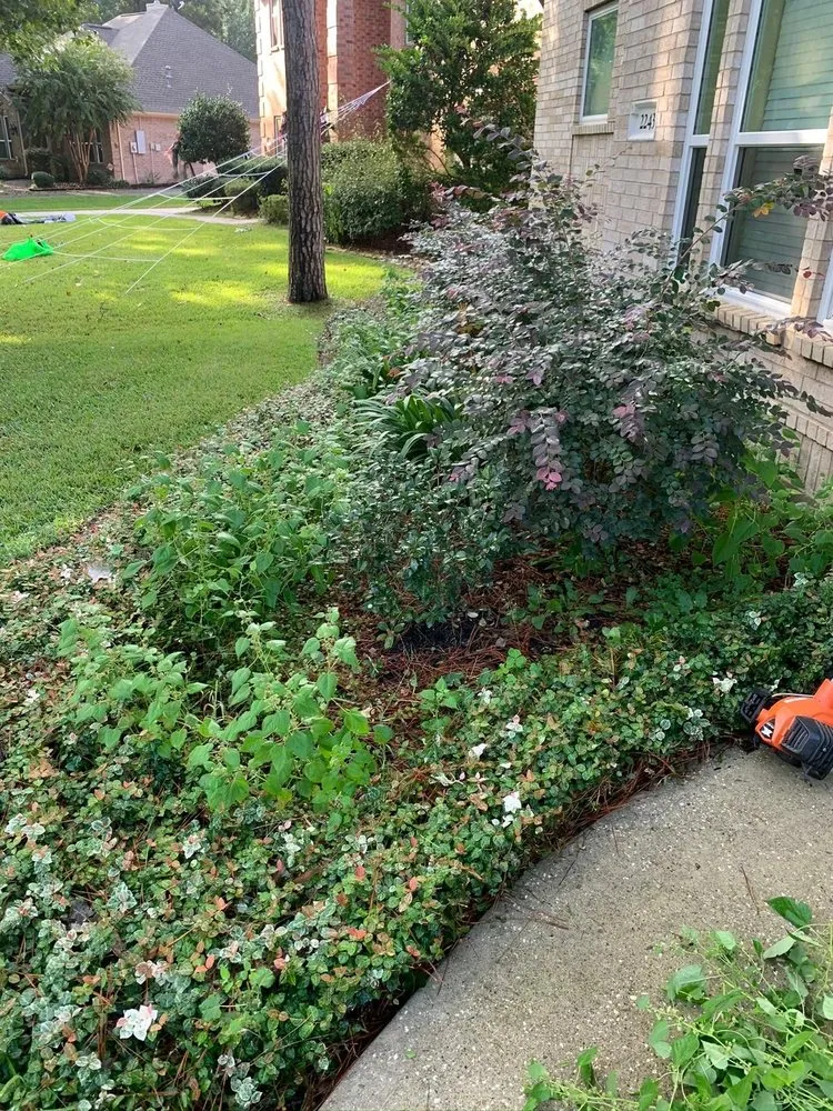 Professional landscape installation for outdoor upgrades across San Marcos, CA - VIX Landscaping