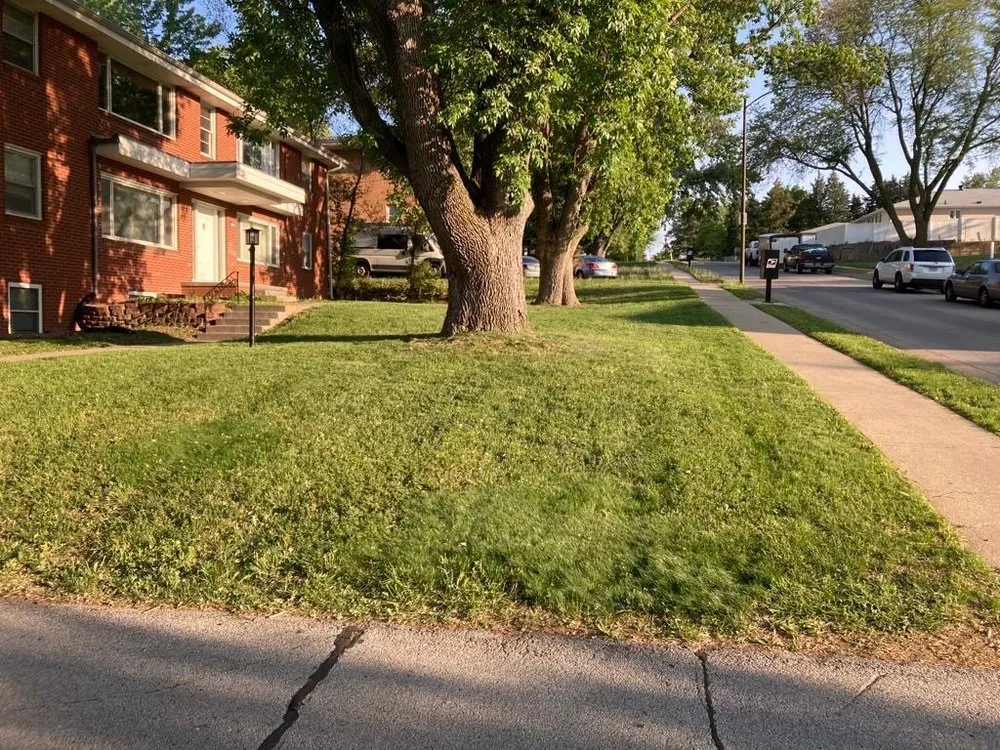 Trusted lawn mowing service for beautiful yards across San Marcos, CA - VIX Landscaping