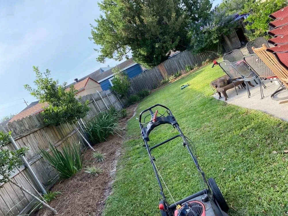 Reliable yard cleanup service in San Marcos, CA - VIX Landscaping