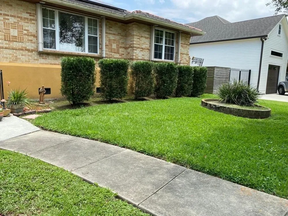 Top-rated lawn care service in San Marcos, CA - VIX Landscaping
