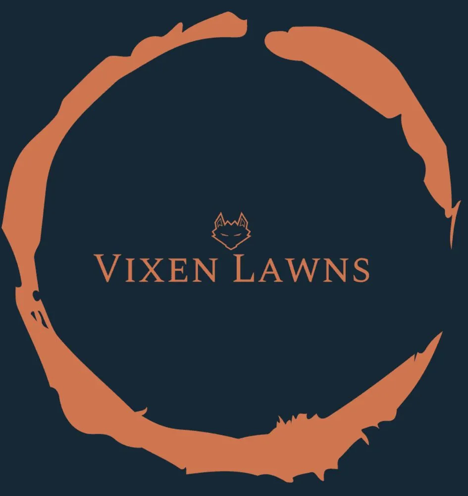 Custom yard cleanup service experts serving Holiday, FL - Vixen Lawns