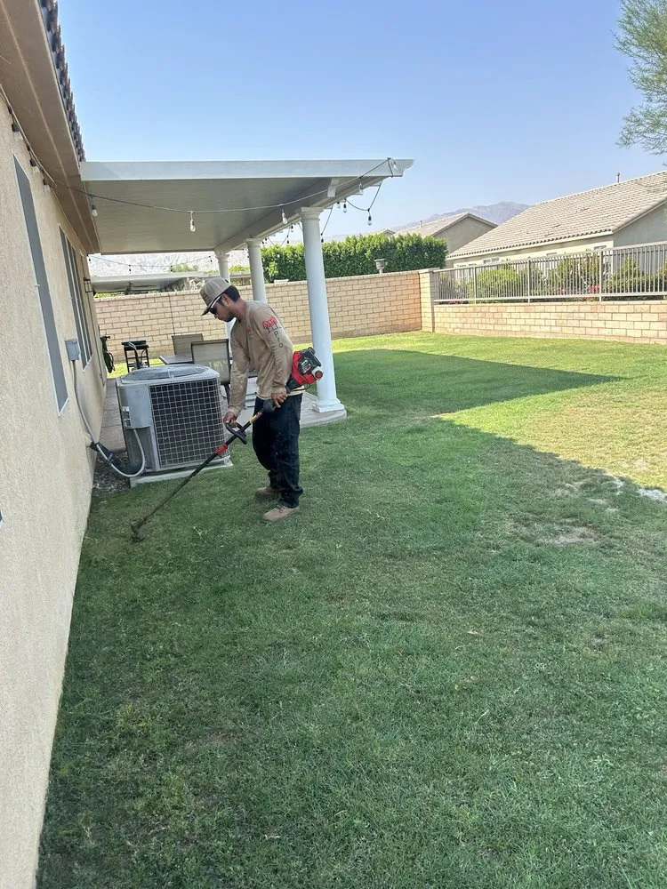 Custom yard cleanup service for year-round maintenance in Coachella, CA by Vizcarra Landscaping