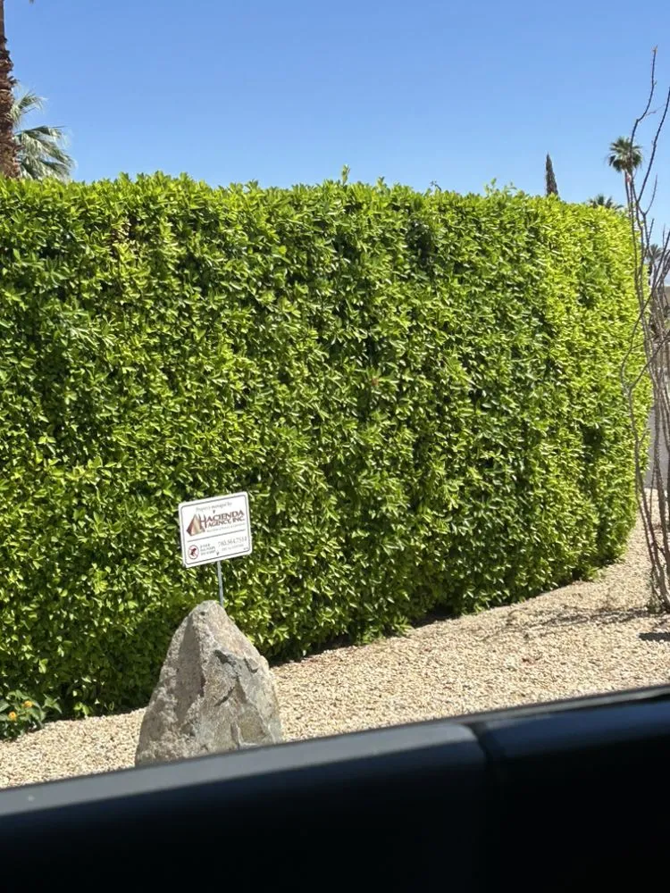Custom lawn care service near you across Coachella, CA - Vizcarra Landscaping