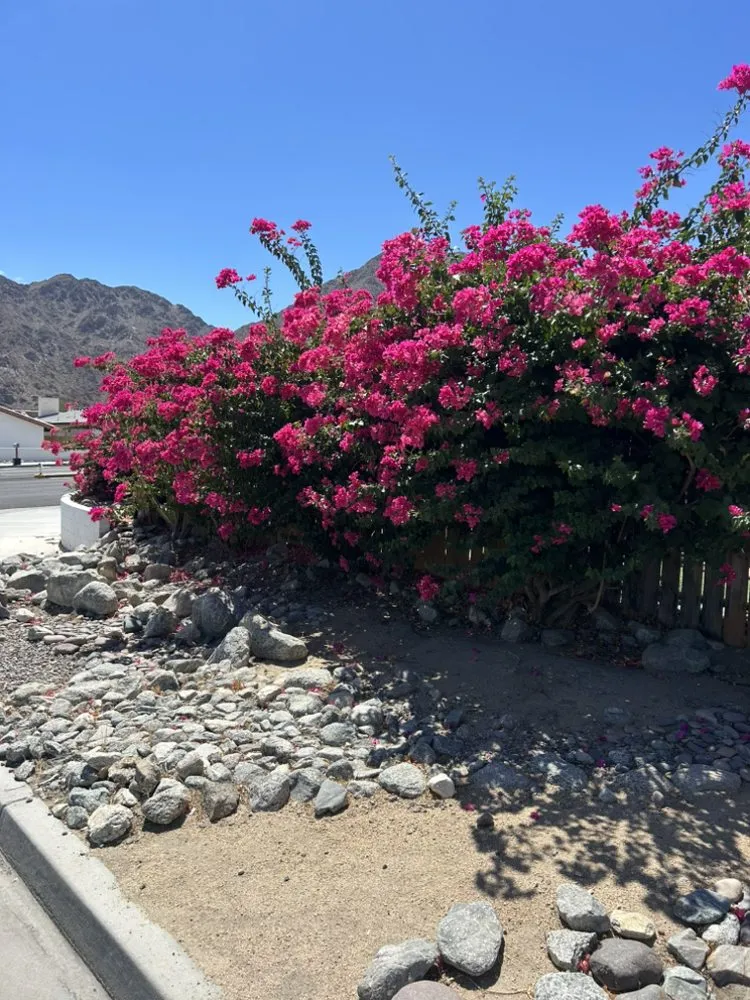 Top-rated outdoor landscaping experts serving Coachella, CA - Vizcarra Landscaping