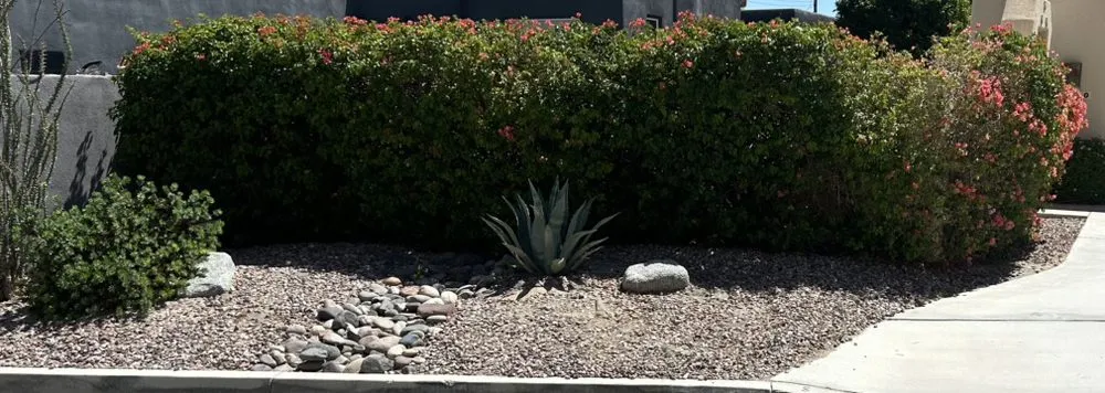 Custom yard maintenance in Coachella, CA by Vizcarra Landscaping