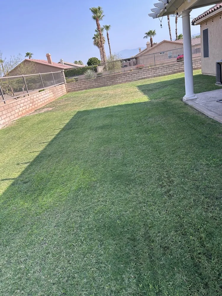Expert outdoor landscaping for beautiful yards across Coachella, CA - Vizcarra Landscaping