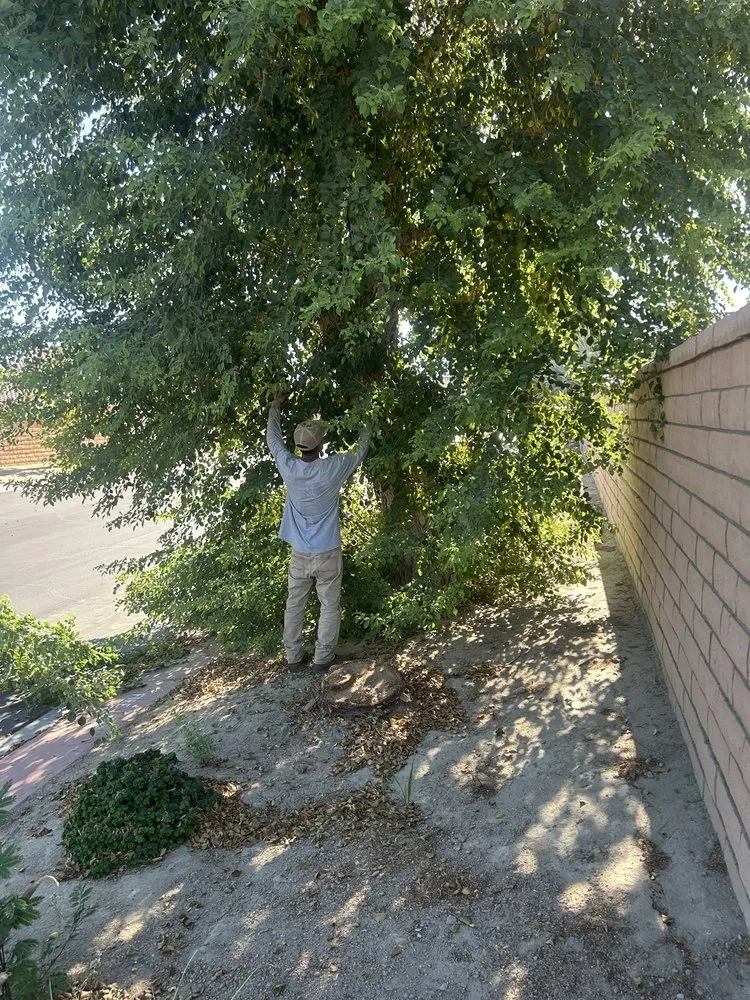 Custom lawn mowing service for beautiful yards in Coachella, CA by Vizcarra Landscaping