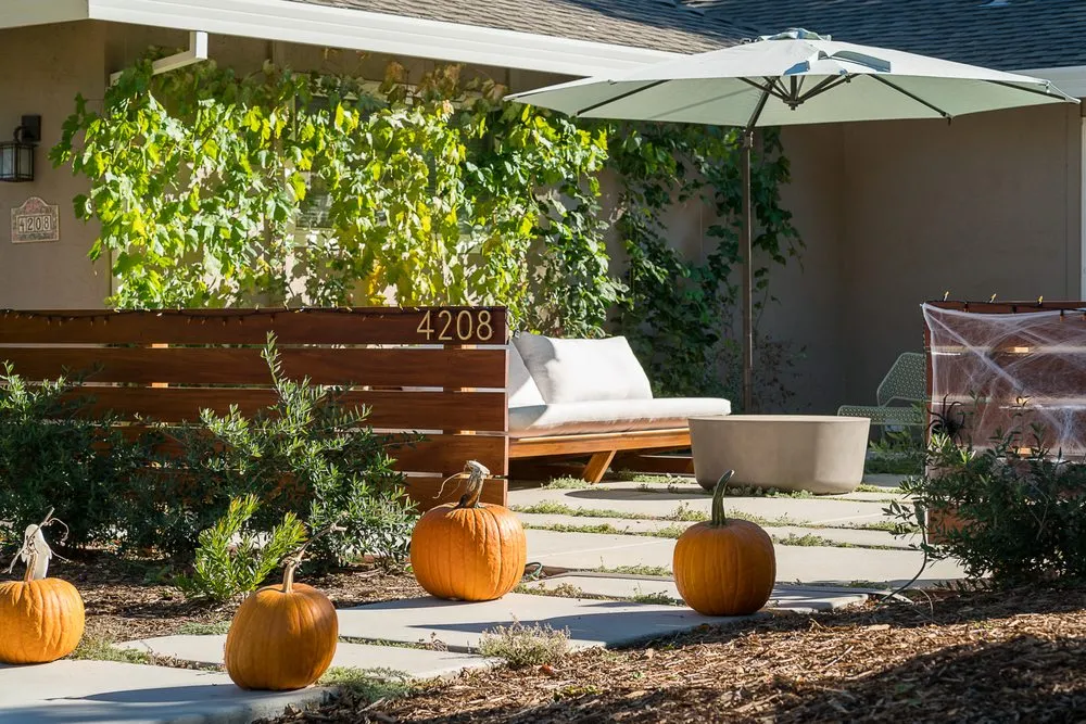 Affordable lawn care service in Vacaville, CA by Vizcay Landscaping