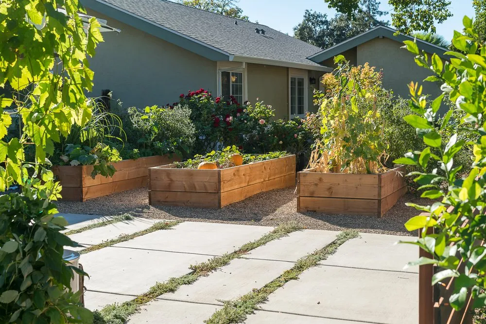 Top-rated yard cleanup service in Vacaville, CA by Vizcay Landscaping