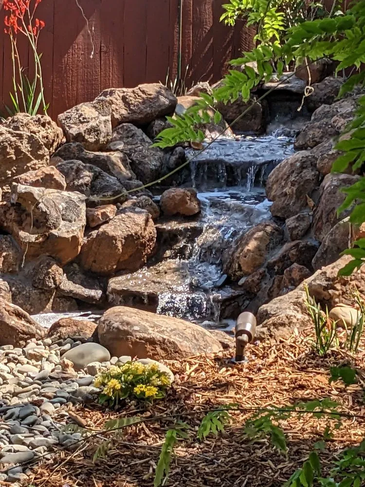 Expert yard cleanup service experts serving Vacaville, CA - Vizcay Landscaping